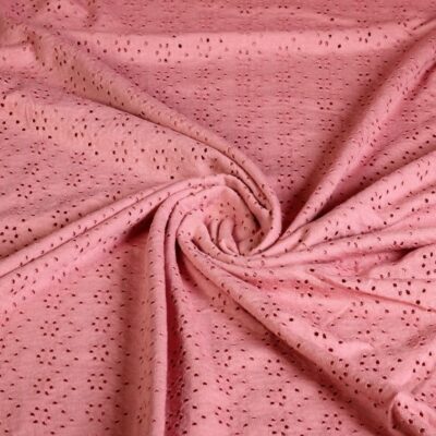 Jersey Broderie Stoff lachs